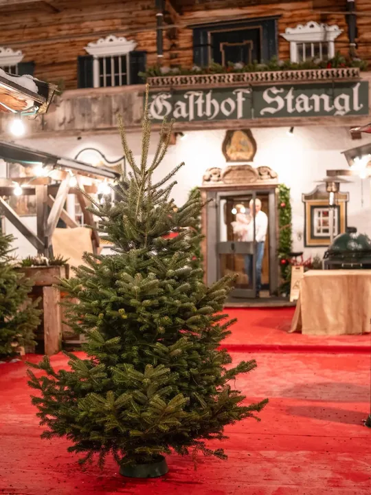 Christbaum vor dem Eingang des Gasthofs Stangl